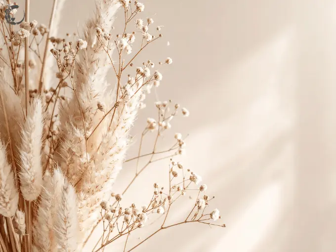 baby's breath flowers bouquet