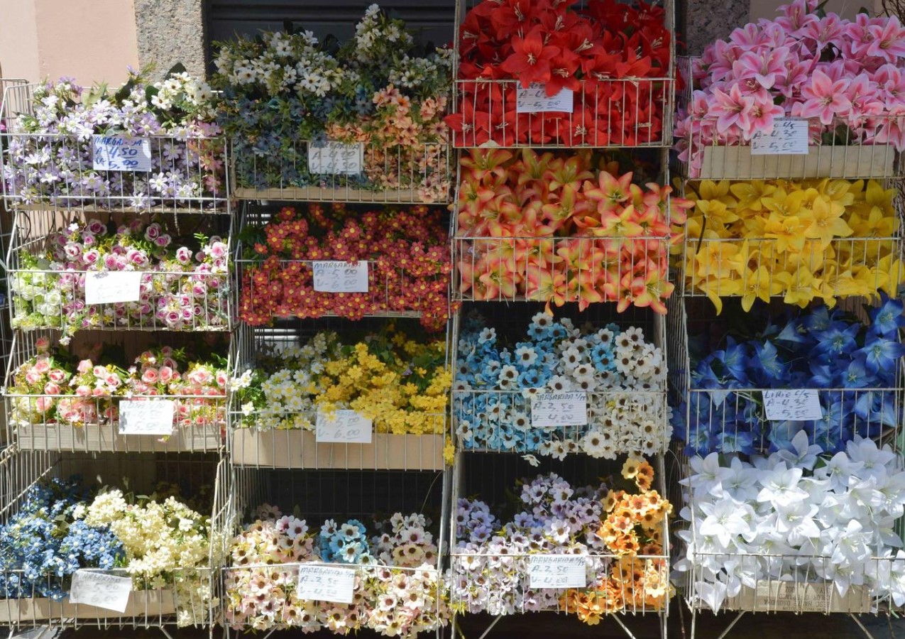 the types of flowers at the swamp flower shop belong