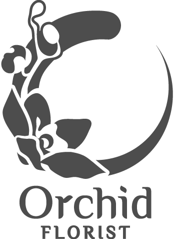 Orchid