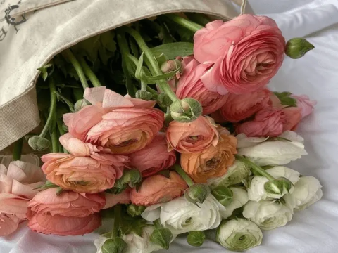 Ide Buket Bunga Anniversary Paling Romantis dan Maknanya