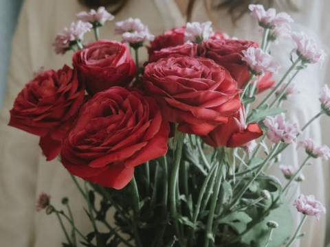6 Jenis Bunga Lambang Kasih Sayang untuk Orang Tercinta