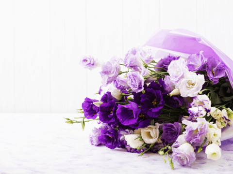 Violet Flowers: Meaning, Types, and Care Tips for Bouquets