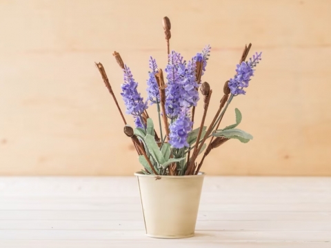 5 Jenis Bunga Hias dalam Pot yang Bisa Anda Tanam di Rumah