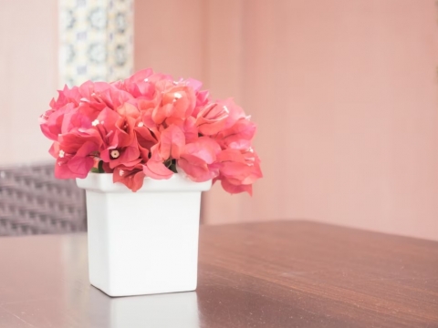 6 Tips Memilih Bunga Hiasan Meja untuk Lebaran