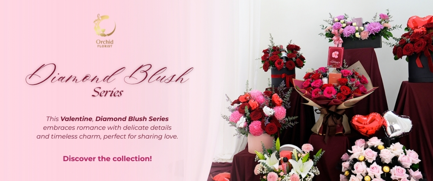 New Product Valday 2026