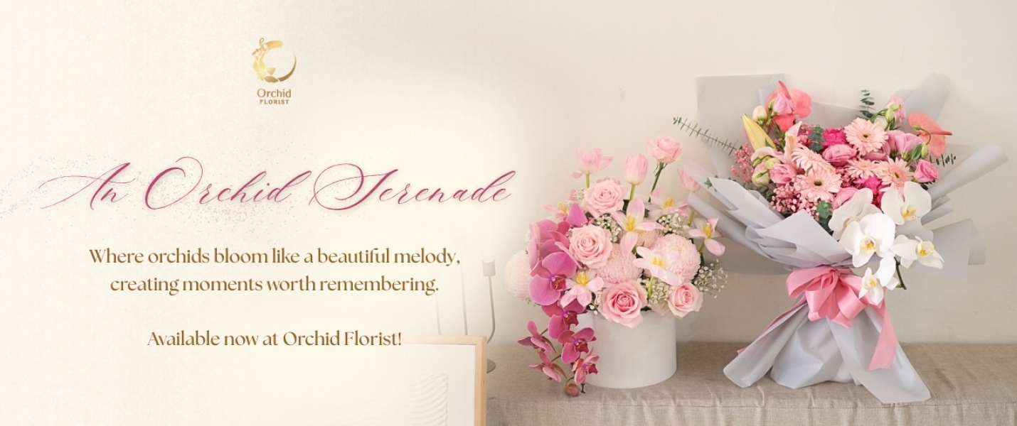 New Series Orchid