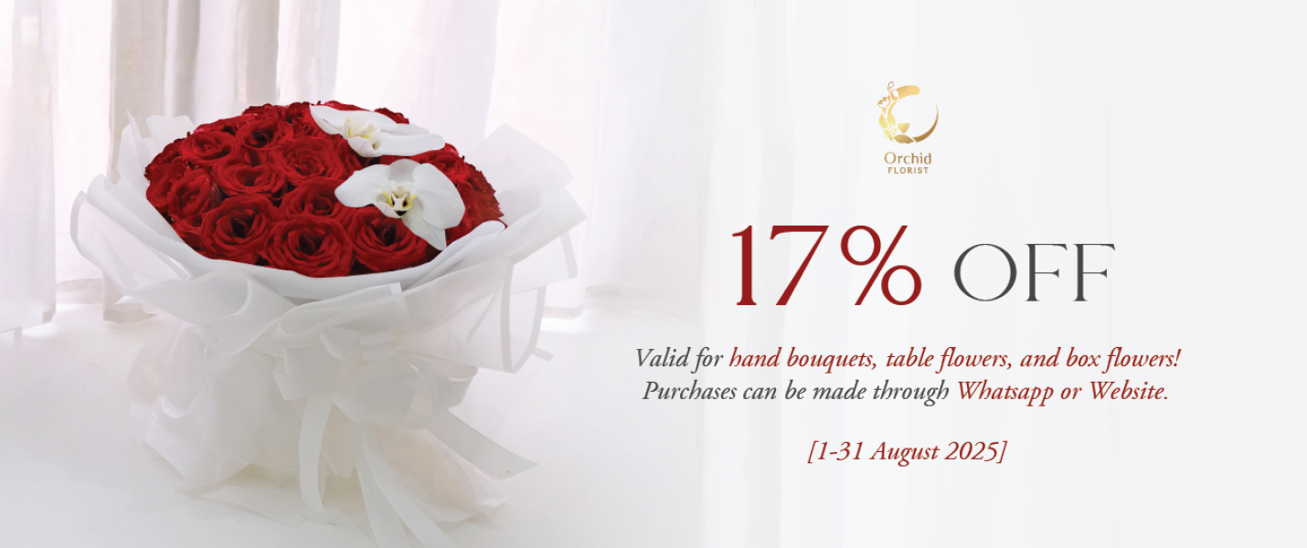 Disc 17% August'25