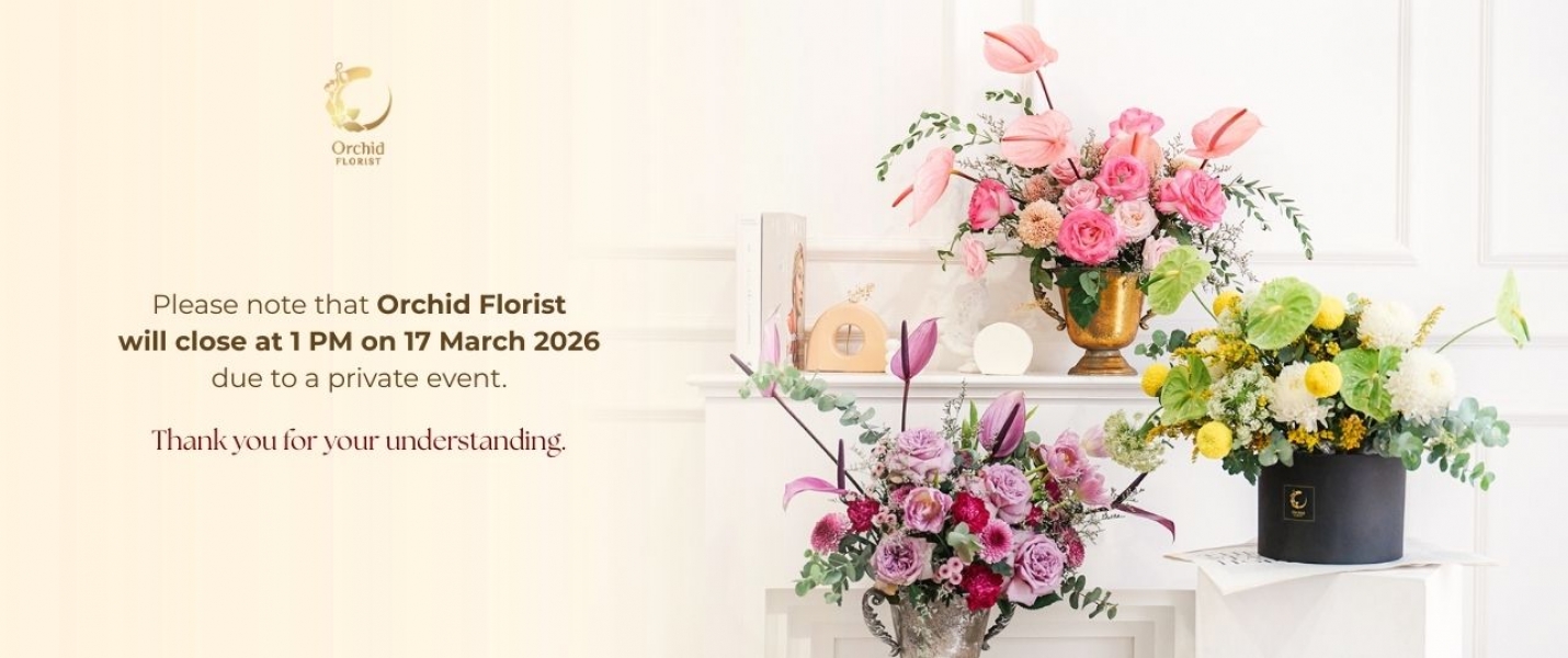 17 march close 2 & 3