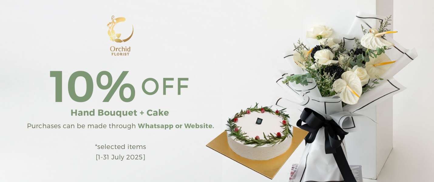 Disc 10% Bundling Cake + Hb