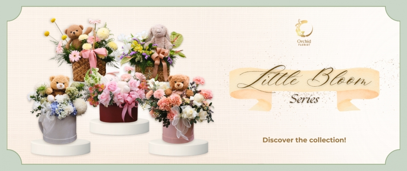 Little Bloom Series