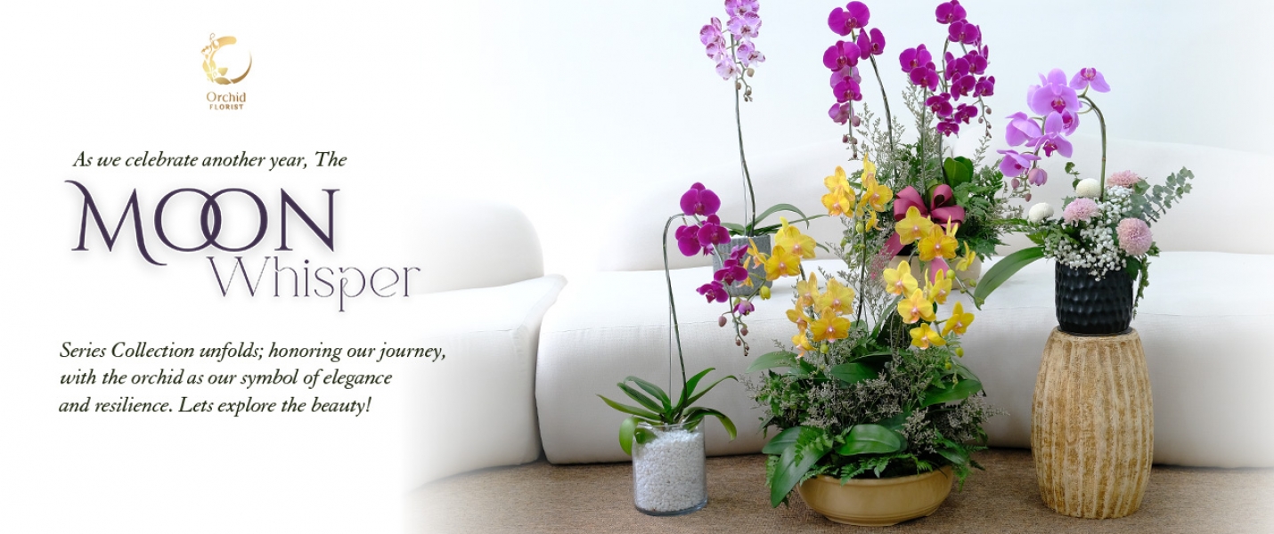 New product Sept'25