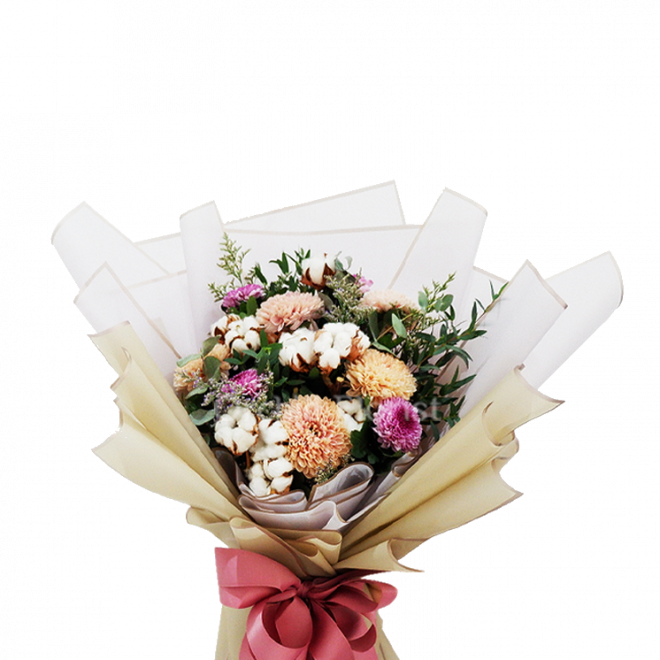 Blush Malvales