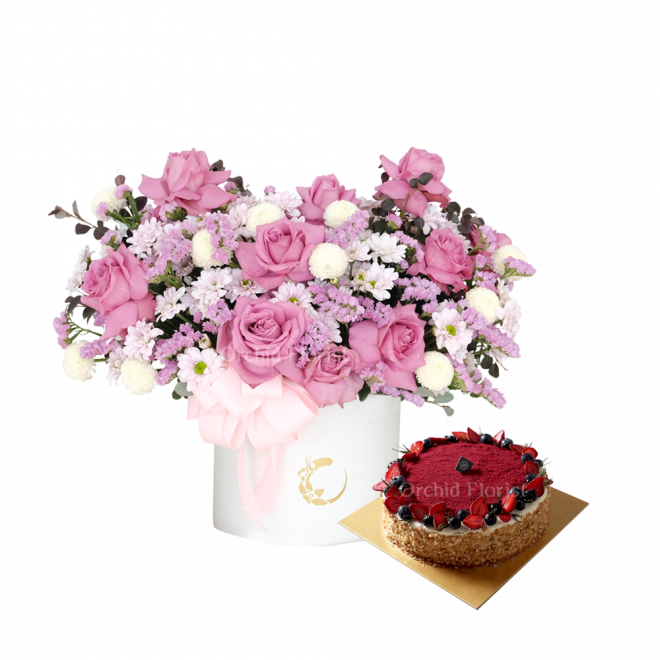 Promise Amour & Cake