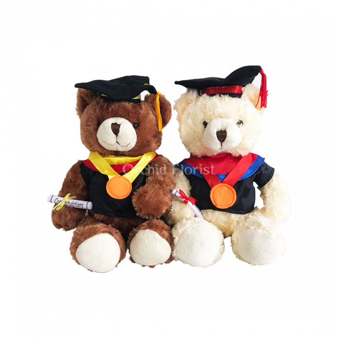 Honey Bear 10"