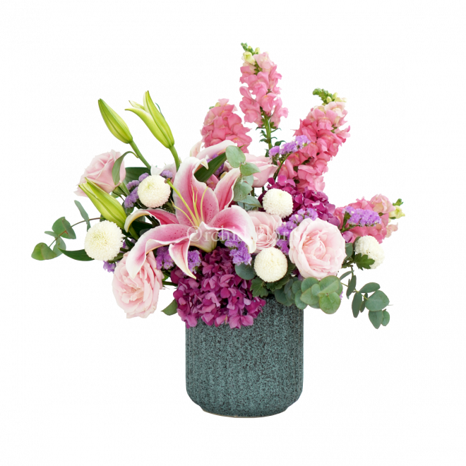 PRETTY AMARANTHINE