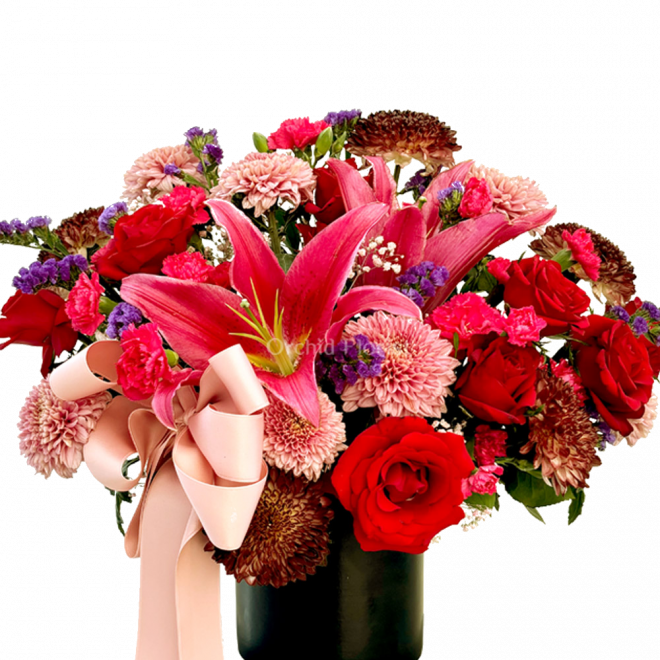 Lovely Lily