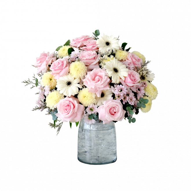 Blush Parlour