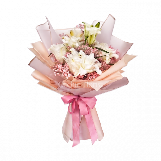 Celestial Roselily