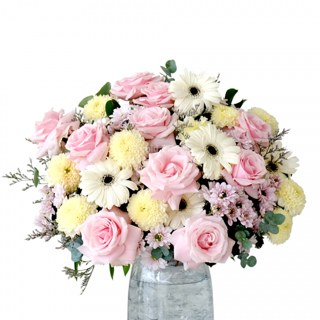 Blush Parlour