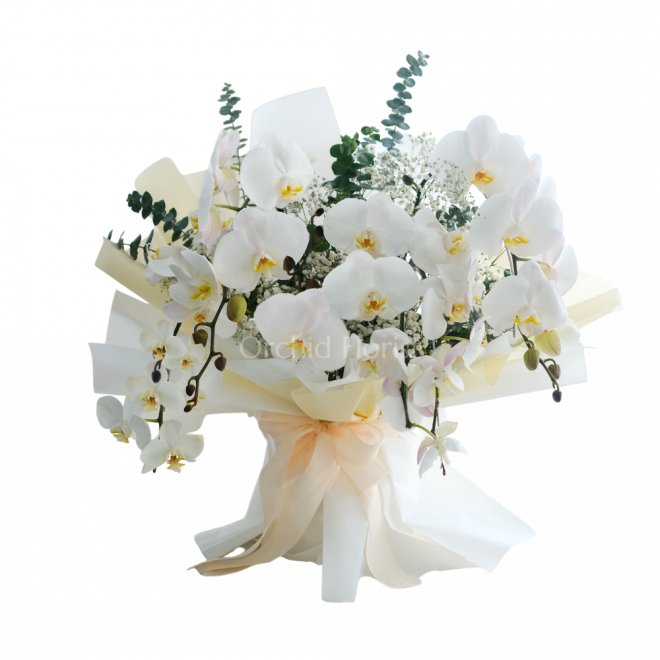 Majestic White