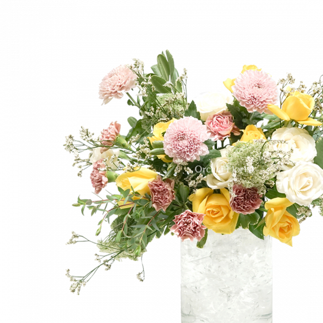 Heavenly Bloom