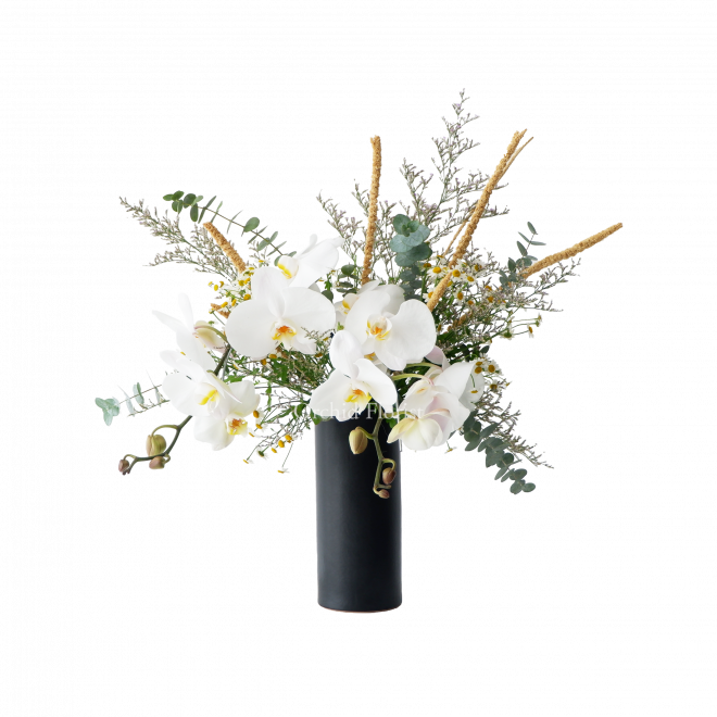 Garden Grace