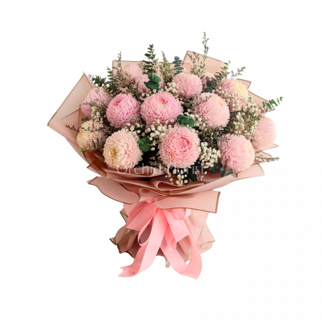 BLUSH SERENITY