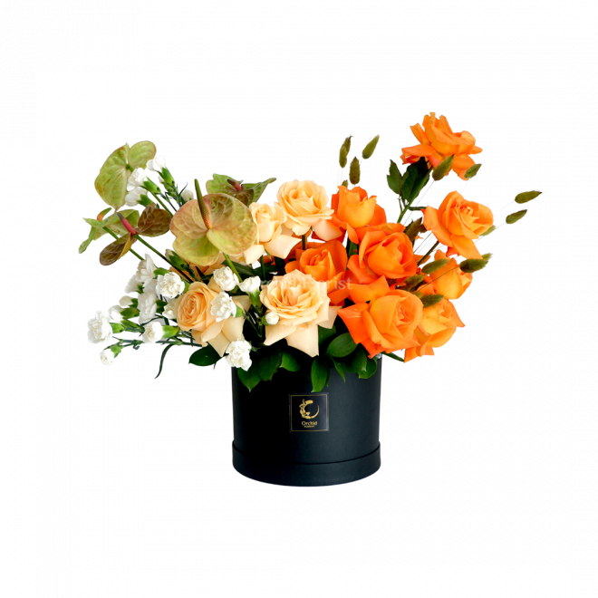 Apricity