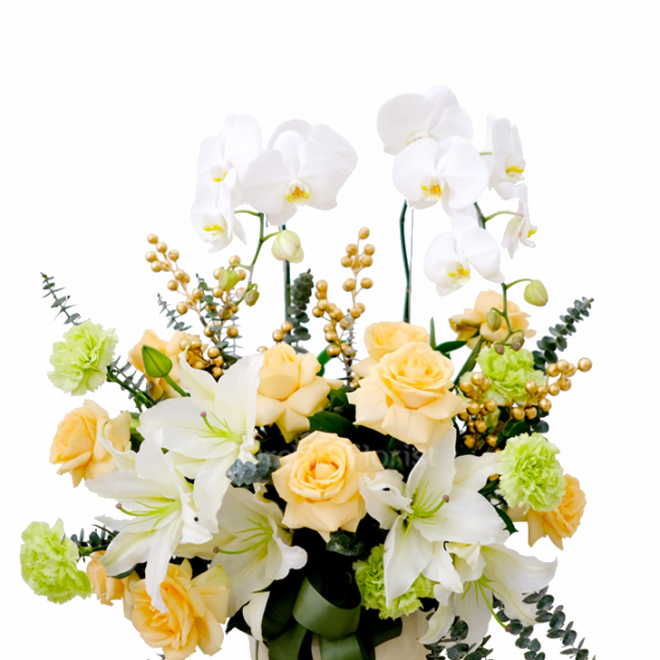 Blessings Blooms