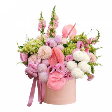Blush Whimsy