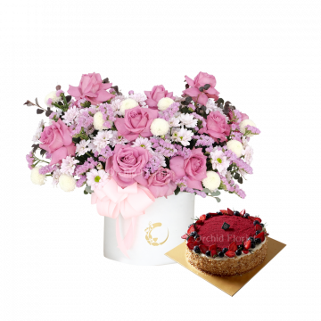 Promise Amour & Cake