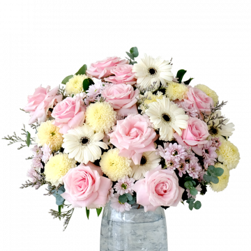 Blush Parlour