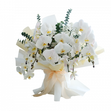 Majestic White