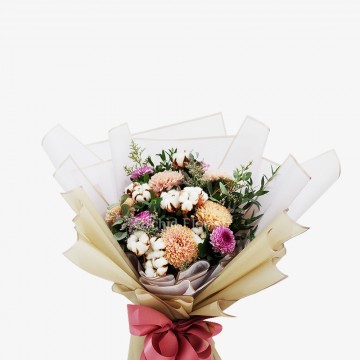 Blush Malvales