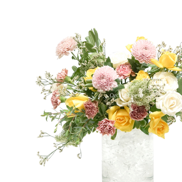 Heavenly Bloom