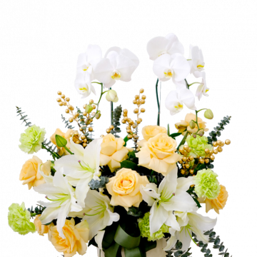 Blessings Blooms